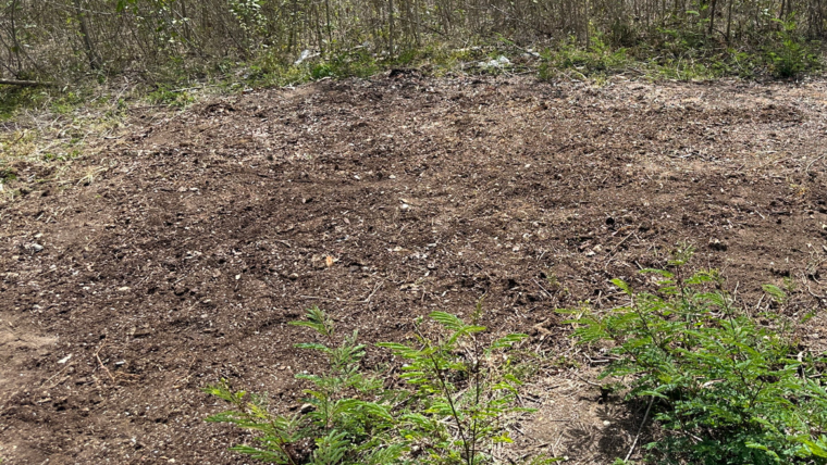 The Pepper Project: Building Soil Without Tilling
