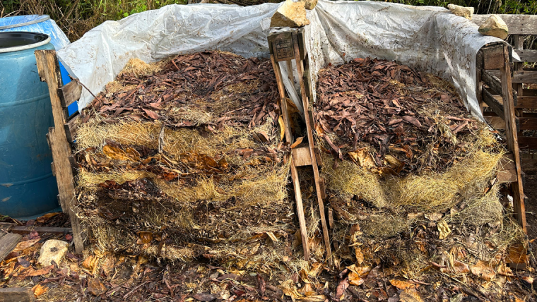 The Life of a Batch: First Turn